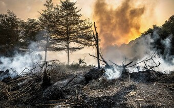 Оценка ущерба после стихийного бедствия в Ижевске: отчет оценщика